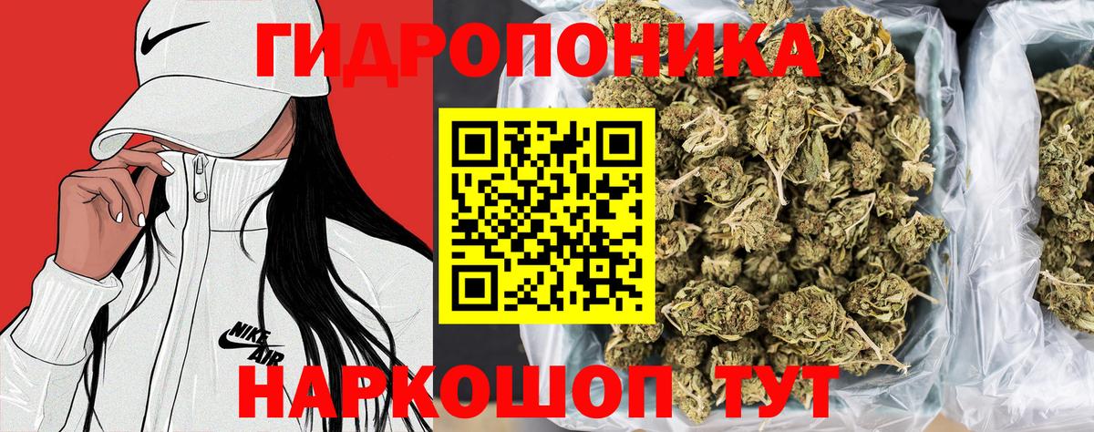 МАРИХУАНА AK-47  Бошки марихуана план  Марихуана LSD WEED  Вход с VPN  Канабис Bruce Banner  Урус-Мартан 